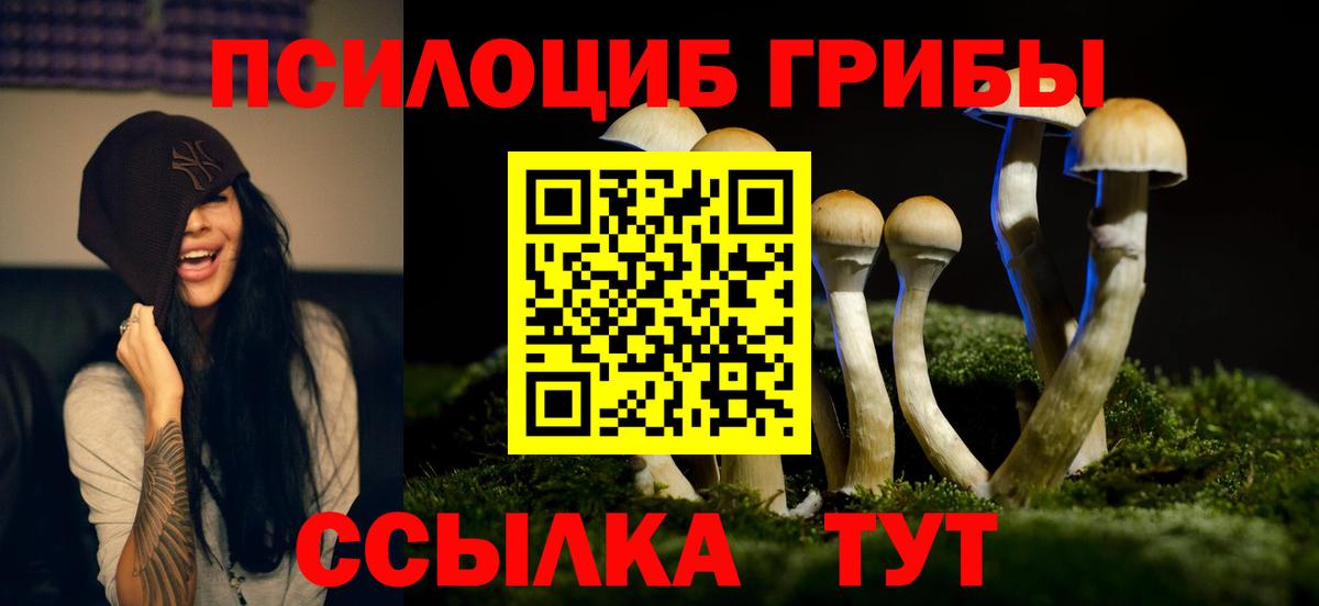 Галлюциногенные грибы прущие грибы Пугачёв